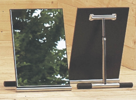 SPECCHIERA INCLINATA