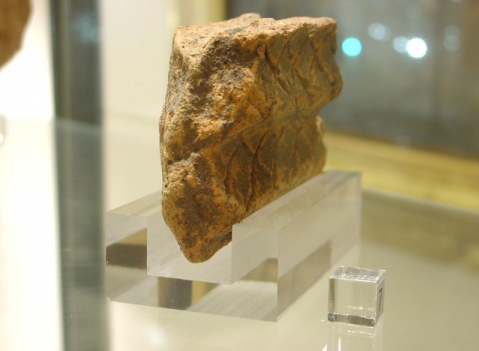 Accessori espositivi: LINEA METACRILATO