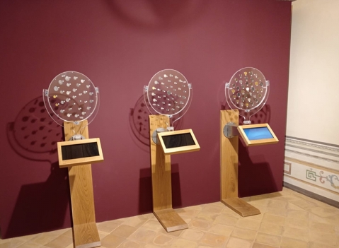 Monetiere Interattivo Rotante