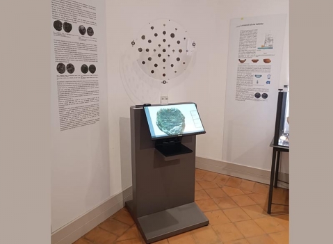 Monetiere / Meagliere Interattivo Rotante MUSEO CIVICO ARCHEOLOGICO CASTELFRANCO EMILIA