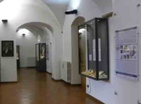 Vetrine espositive per musei della linea Argurion Museo archeologico Desenzano