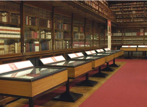 Vetrine espositive: LINEA TESTI