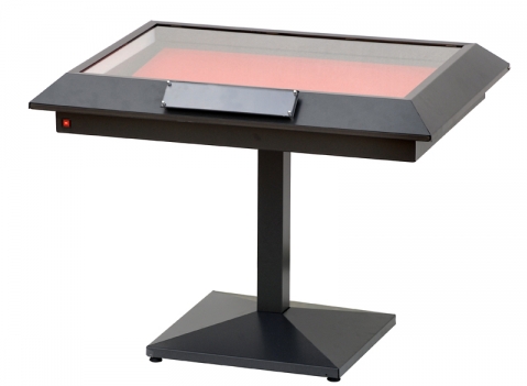 Vetrine espositive: LINEA TESTI